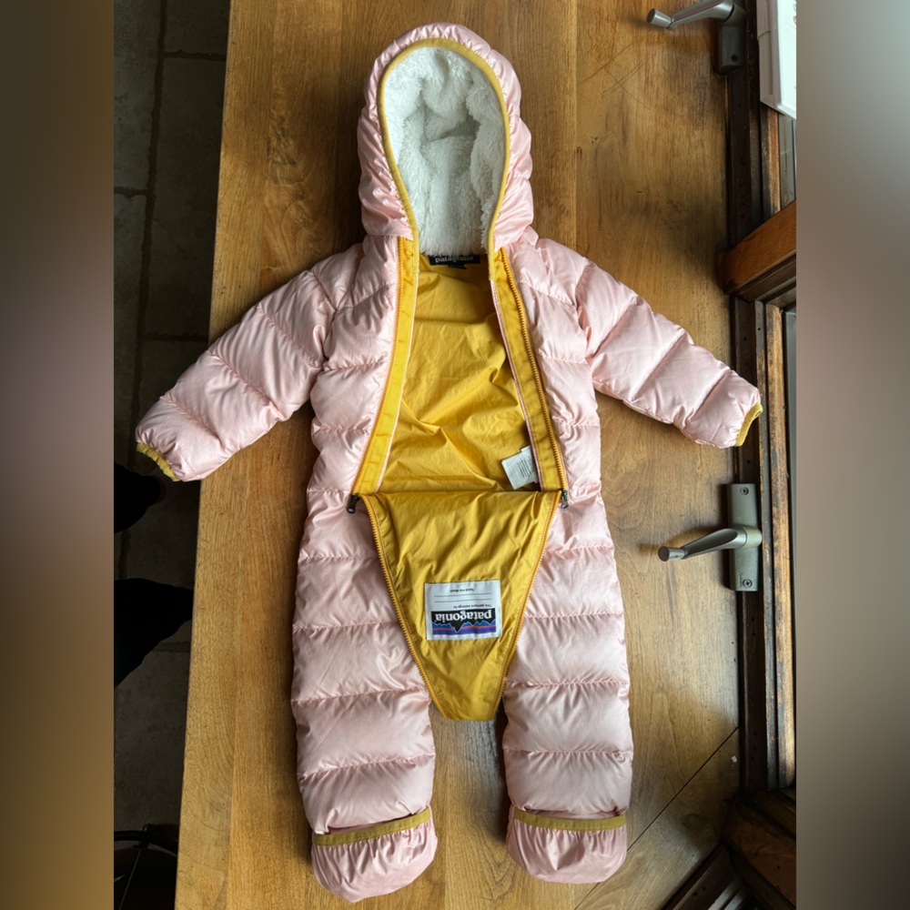 Pink Patagonia Bunting